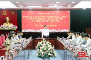 Họp Ban Chỉ đạo về phát triển khoa học, công nghệ, đổi mới sáng tạo và chuyển đổi số tỉnh 