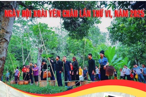 'Ngày hội xoài Yên Châu lần thứ VI, năm 2025