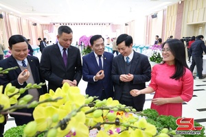 'Khoa học công nghệ và đổi mới sáng tạo