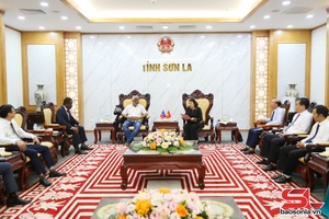 Đoàn công tác của Đại sứ quán nước Cộng hòa Haiti tại Việt Nam chào xã giao tỉnh Sơn La