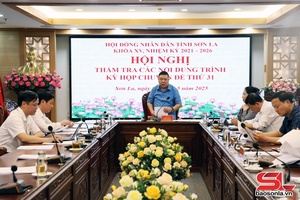 Ban Pháp chế thẩm tra các nội dung trình Kỳ họp chuyên đề thứ 31