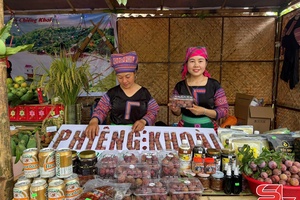 'Hội thi trưng bày nông sản huyện Yên Châu
