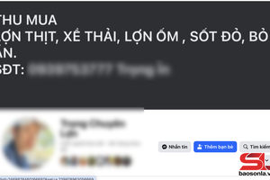 'Buôn bán, tiêu thụ lợn ốm, lợn chết là hành vi vi phạm pháp luật