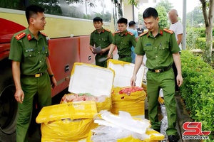 'Thu giữ 476 kg nội tạng động vật vận chuyển trên xe khách