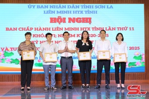 'Phát huy vai trò của kinh tế tập thể đổi mới, sáng tạo