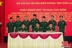 'Triển khai toàn diện, hiệu quả các mặt công tác biên phòng