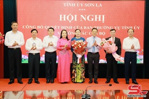 Hội nghị công bố quyết định của Ban Thường vụ Tỉnh ủy về công tác cán bộ