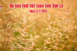 'Dự báo thời tiết toàn tỉnh Sơn La ngày 3/7/2025