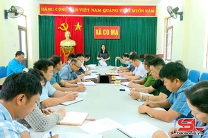 Đồng chí Trưởng ban Tuyên giáo và Dân vận Tỉnh ủy kiểm tra vận hành chính quyền 2 cấp 
