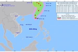 'Áp thấp nhiệt đới đã mạnh lên thành bão số 2, giật cấp 12 ở khu vực Bắc Biển Đông