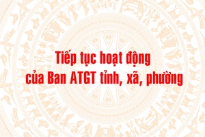 'Tiếp tục hoạt động của Ban ATGT tỉnh, xã, phường