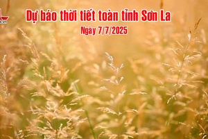 'Dự báo thời tiết toàn tỉnh Sơn La ngày 7/7/2025