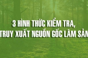 '3 hình thức kiểm tra, truy xuất nguồn gốc lâm sản