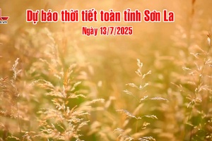 'Dự báo thời tiết toàn tỉnh Sơn La ngày 13/7/2025