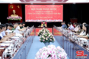 Tập huấn toàn quốc nghiệp vụ công tác kiểm tra, giám sát năm 2025