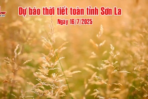 'Dự báo thời tiết toàn tỉnh Sơn La ngày 16/7/2025