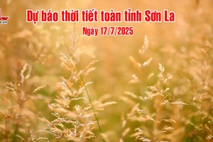 'Dự báo thời tiết toàn tỉnh Sơn La ngày 17/7/2025