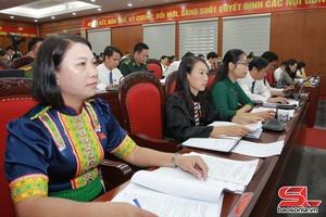 Kỳ họp thứ mười một, HĐND tỉnh khóa XV: Thảo luận các báo cáo trình tại kỳ họp