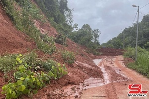 'Mưa, dông gây thiệt hại tại một số địa phương