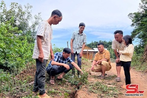 'Di chuyển 13 hộ bản Co Dâu đến nơi ở an toàn