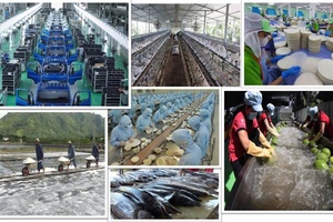 'Kinh tế tư nhân là một động lực quan trọng nhất - Quan điểm đúng đắn, sáng tạo của Đảng ta