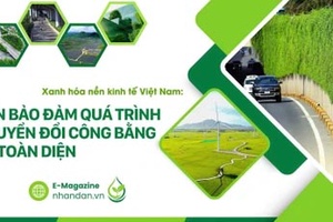 'Xanh hóa nền kinh tế Việt Nam: Cần bảo đảm quá trình chuyển đổi công bằng và toàn diện