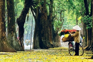 'Hà Nội và TP Hồ Chí Minh vào danh sách “Các thành phố tuyệt vời nhất thế giới”