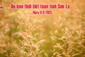 'Dự báo thời tiết toàn tỉnh Sơn La ngày 9/8/2025