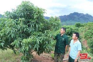 Sắp xếp tổ chức Hội Cựu chiến binh theo mô hình mới