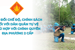 'Sửa đổi chế độ, chính sách đối với Dân quân tự vệ phù hợp với chính quyền địa phương 2 cấp
