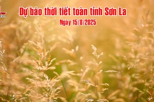 'Dự báo thời tiết toàn tỉnh Sơn La ngày 15/8/2025