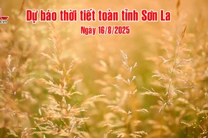 Dự báo thời tiết toàn tỉnh Sơn La ngày 16/8/2025