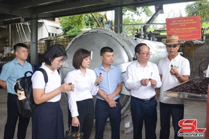 'Nghiệm thu Đề án: “Hỗ trợ ứng dụng máy móc, thiết bị tiên tiến vào sản xuất chế biến hoa quả”