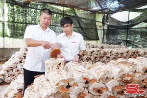 'Điểm tựa vốn phát triển nông nghiệp, nông thôn