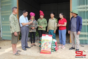 'Hỗ trợ xây dựng mô hình trồng thâm canh trà hoa vàng ở xã Phiêng Cằm