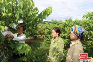 'Xây dựng vùng nông nghiệp ứng dụng công nghệ cao
