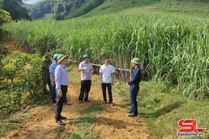Chiềng Sại vươn lên phát triển kinh tế