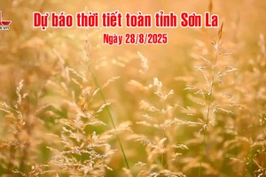 'Dự báo thời tiết toàn tỉnh Sơn La ngày 28/8/2025