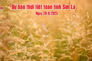 'Dự báo thời tiết toàn tỉnh Sơn La ngày 29/8/2025