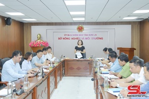 'Triển khai Dự án “Giảm nhẹ và thích ứng với biến đổi khí hậu trong nông lâm nghiệp tại Tây Bắc – Giai đoạn 2”