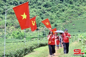 'Rực rỡ đường cờ Tổ quốc trên đồi chè dưới chân đèo Pha Đin
