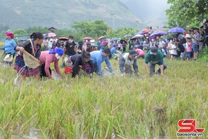 'Sôi nổi Hội thi bắt cá