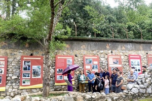 TỪ TINH THẦN TÔ HIỆU