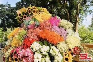 DƯỜNG NHƯ THU VỀ