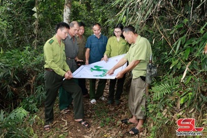 'Khi tiền dịch vụ môi trường rừng được sử dụng hiệu quả 