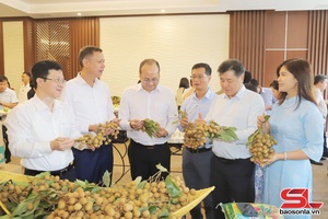 Phát triển chuỗi giá trị sản phẩm nhãn Ánh vàng 205
