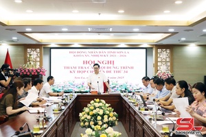 Ban Kinh tế - Ngân sách thẩm tra các nội dung trình kỳ họp chuyên đề thứ 34 HĐND tỉnh