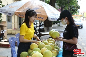 'Hỗ trợ tiêu thụ sản phẩm bưởi Phúc Trạch Hà Tĩnh