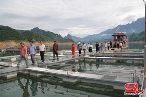 'Mường La bứt phá phát triển