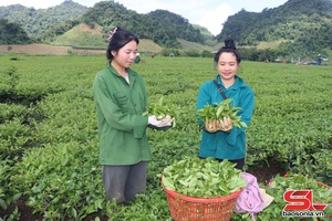 'Đoàn kết xây dựng nông thôn mới